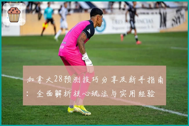 加拿大28预测技巧分享及新手指南：全面解析核心玩法与实用经验
