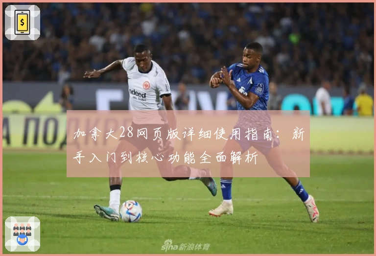 加拿大28网页版详细使用指南：新手入门到核心功能全面解析