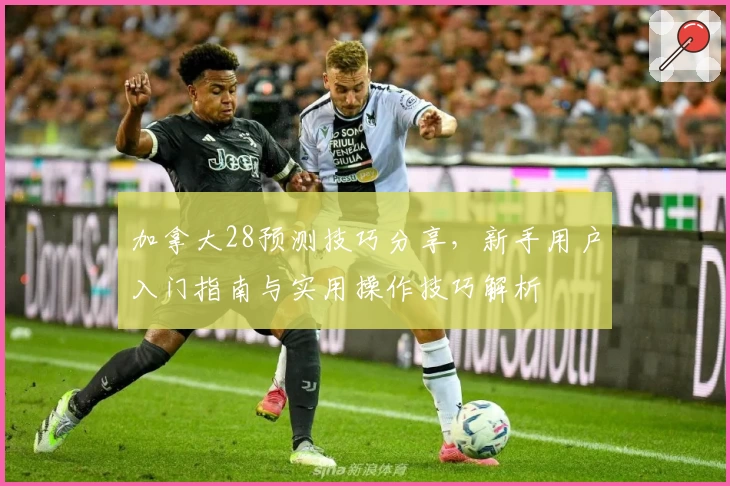 加拿大28预测技巧分享，新手用户入门指南与实用操作技巧解析