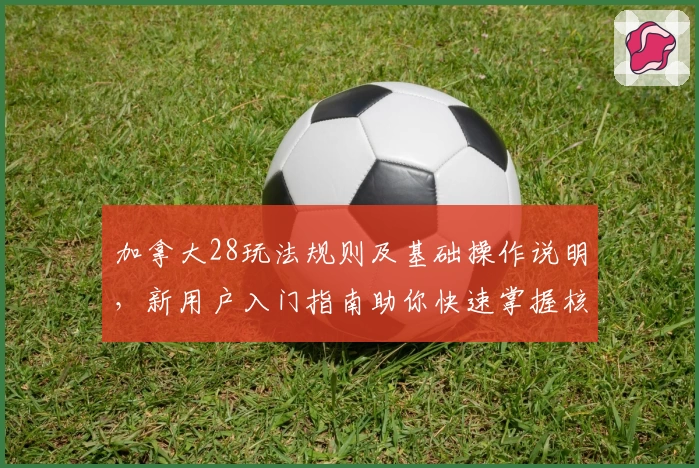 加拿大28玩法规则及基础操作说明，新用户入门指南助你快速掌握核心技巧