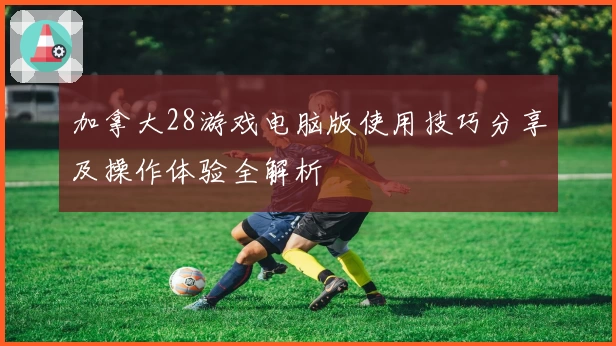 加拿大28游戏电脑版使用技巧分享及操作体验全解析
