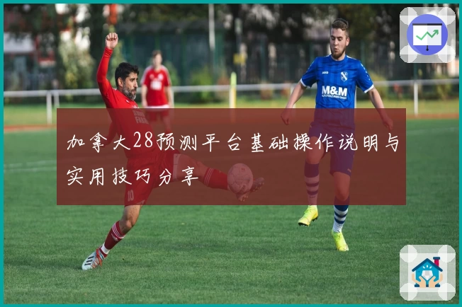 加拿大28预测平台基础操作说明与实用技巧分享