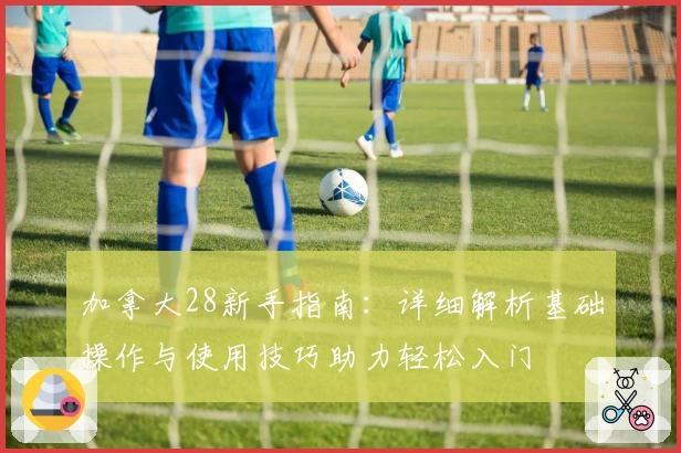 加拿大28新手指南：详细解析基础操作与使用技巧助力轻松入门