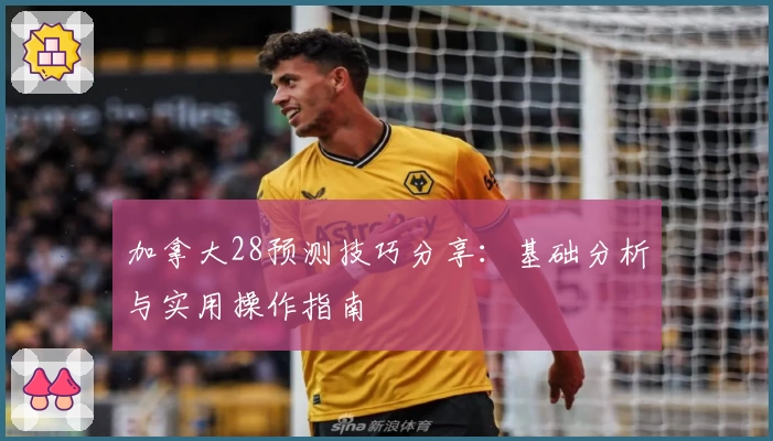 加拿大28预测技巧分享：基础分析与实用操作指南