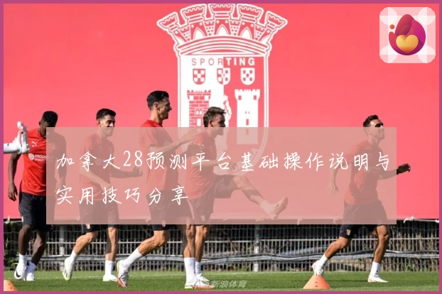 加拿大28预测平台基础操作说明与实用技巧分享