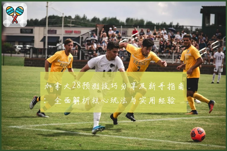 加拿大28预测技巧分享及新手指南：全面解析核心玩法与实用经验