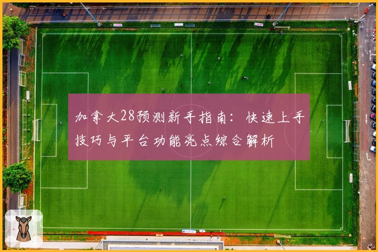 加拿大28预测新手指南：快速上手技巧与平台功能亮点综合解析