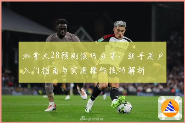 加拿大28预测技巧分享，新手用户入门指南与实用操作技巧解析