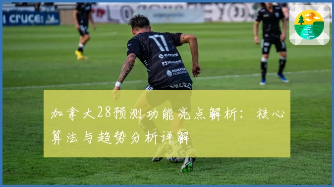 加拿大28预测功能亮点解析：核心算法与趋势分析详解