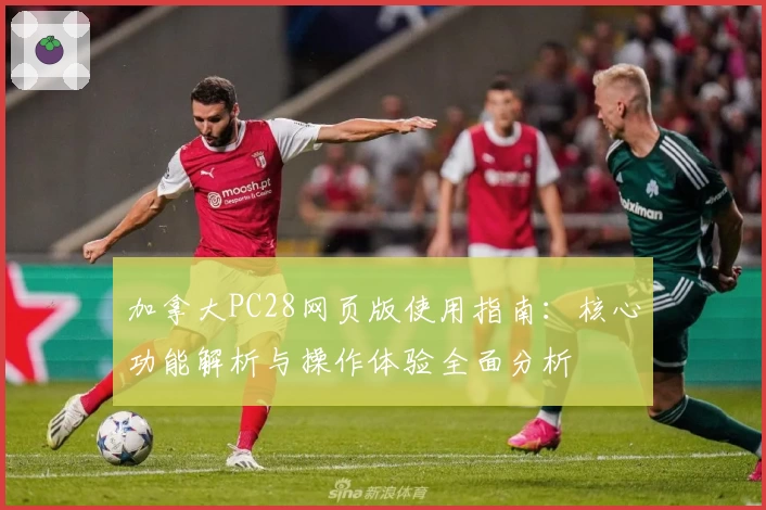 加拿大PC28网页版使用指南：核心功能解析与操作体验全面分析