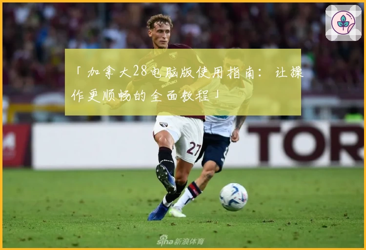 「加拿大28电脑版使用指南：让操作更顺畅的全面教程」