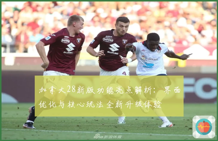 加拿大28新版功能亮点解析：界面优化与核心玩法全新升级体验